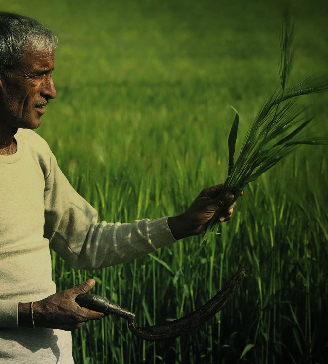 Happy Farmers