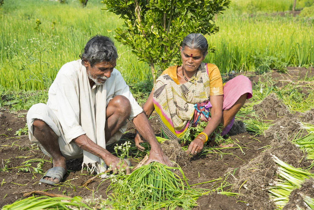 Fair trade farmers